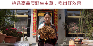 冬虫夏草全面知识问答，虔草店长为你解惑！
