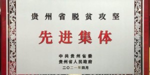 广药集团李楚源：加速刺梨产业规模化、标准化、科技化发展